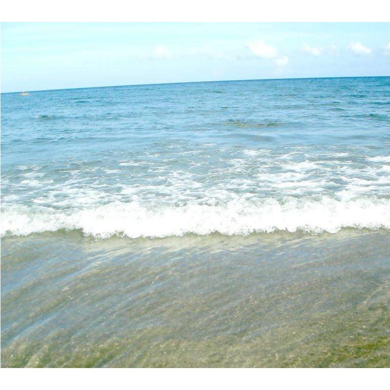 海水中のDC迷走電流の腐食保護